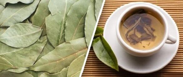 Treatment of arthrosis with laurel leaves